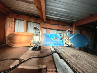 Dakine Snowboard