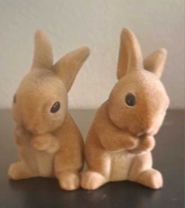 Two Brown Bunnies 