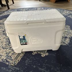 25 Quart Igloo Cooler $10