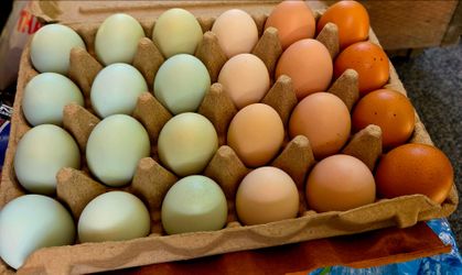24-Pack Farm Fresh Eggs