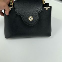 Louis Vuitton Handbag
