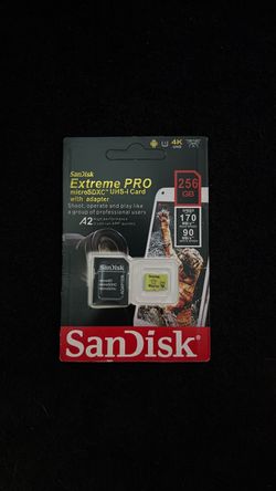 Sandisk 256gb SD card