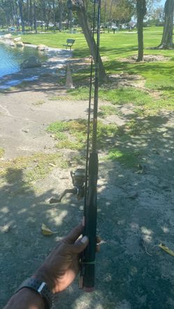 Ugly stick 6ft with reel