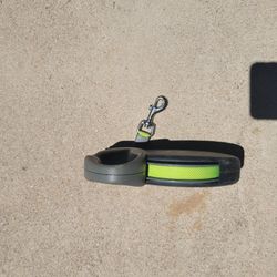 Flexi Extendable Leashes 