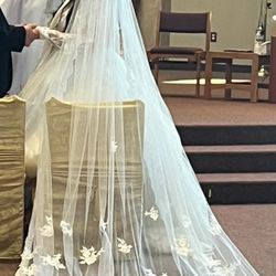 Cathedral Ivory White Veil 