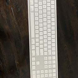 Mac Magic Keyboard 