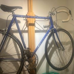 1985 Waterford Schwinn Paramount