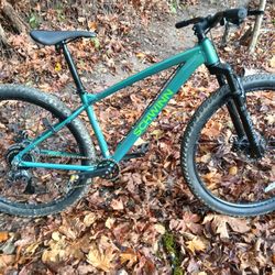 Schwinn Mountain Bike