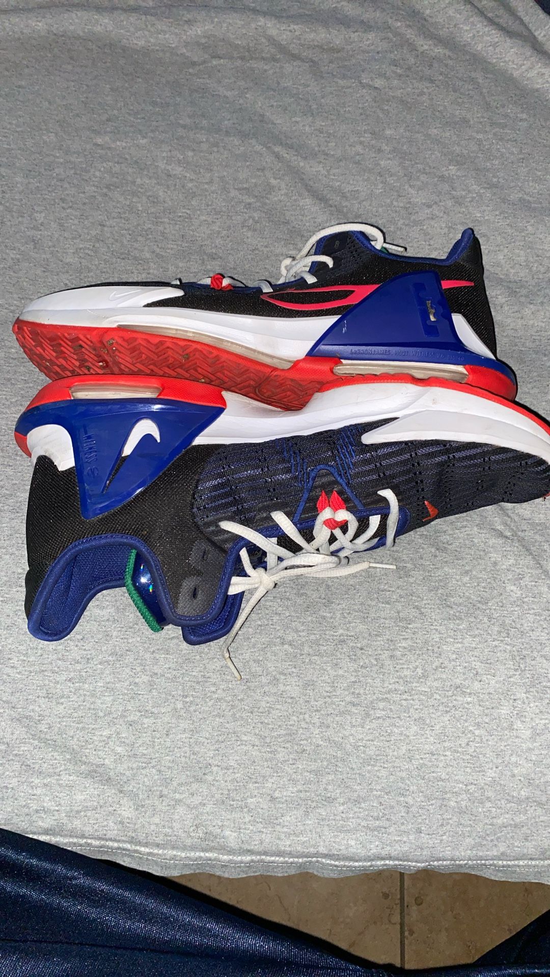 Nike Lebron Witness VI