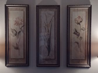 Flower Paintings, Framed