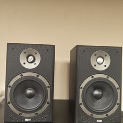 Bowers & Wilkins DM303