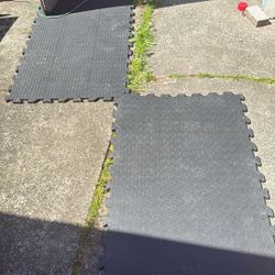 2 Exercise Mats .