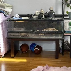 Reptile  tank with  heating  lamps