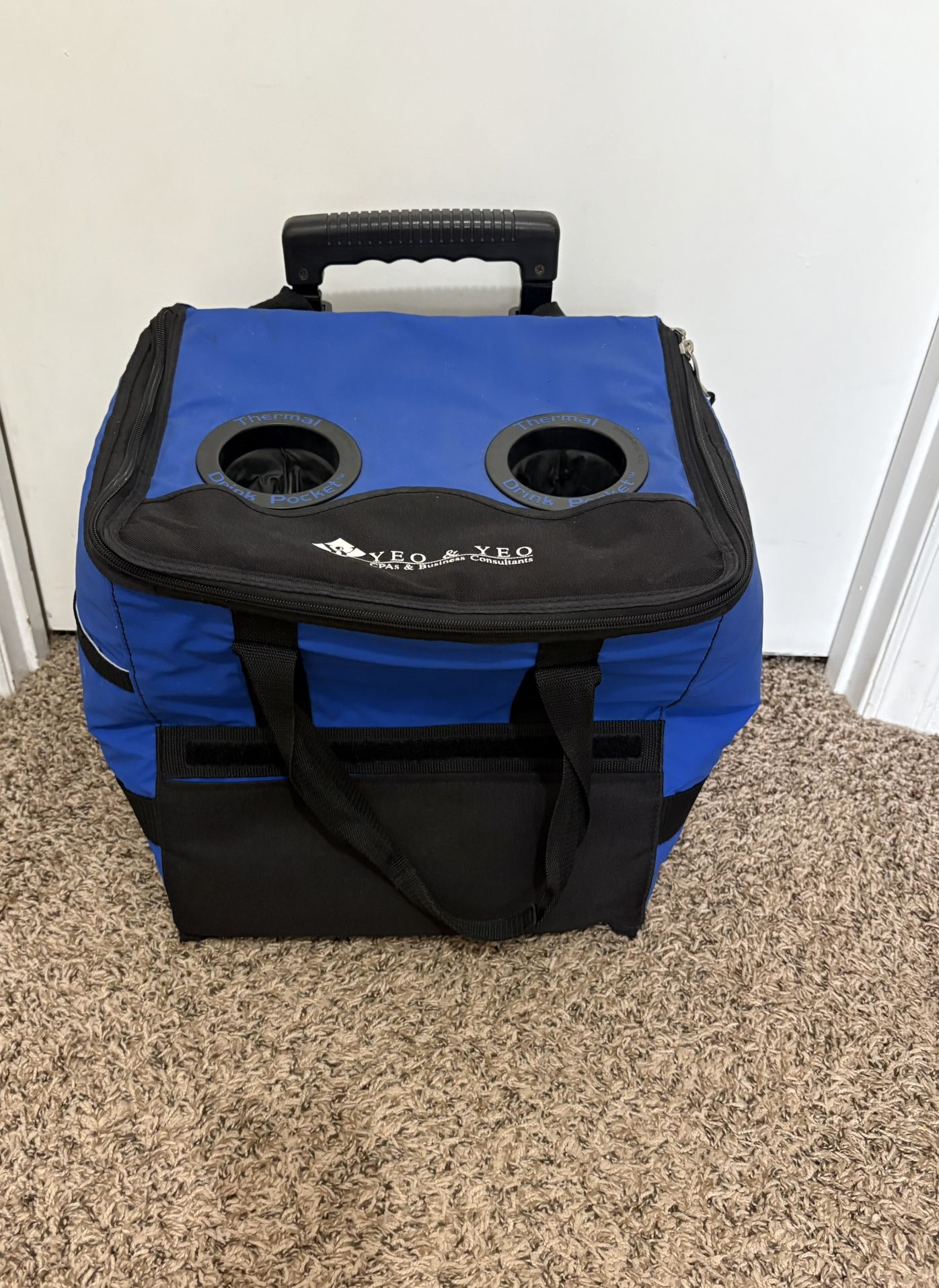 Cooler bag with wheels