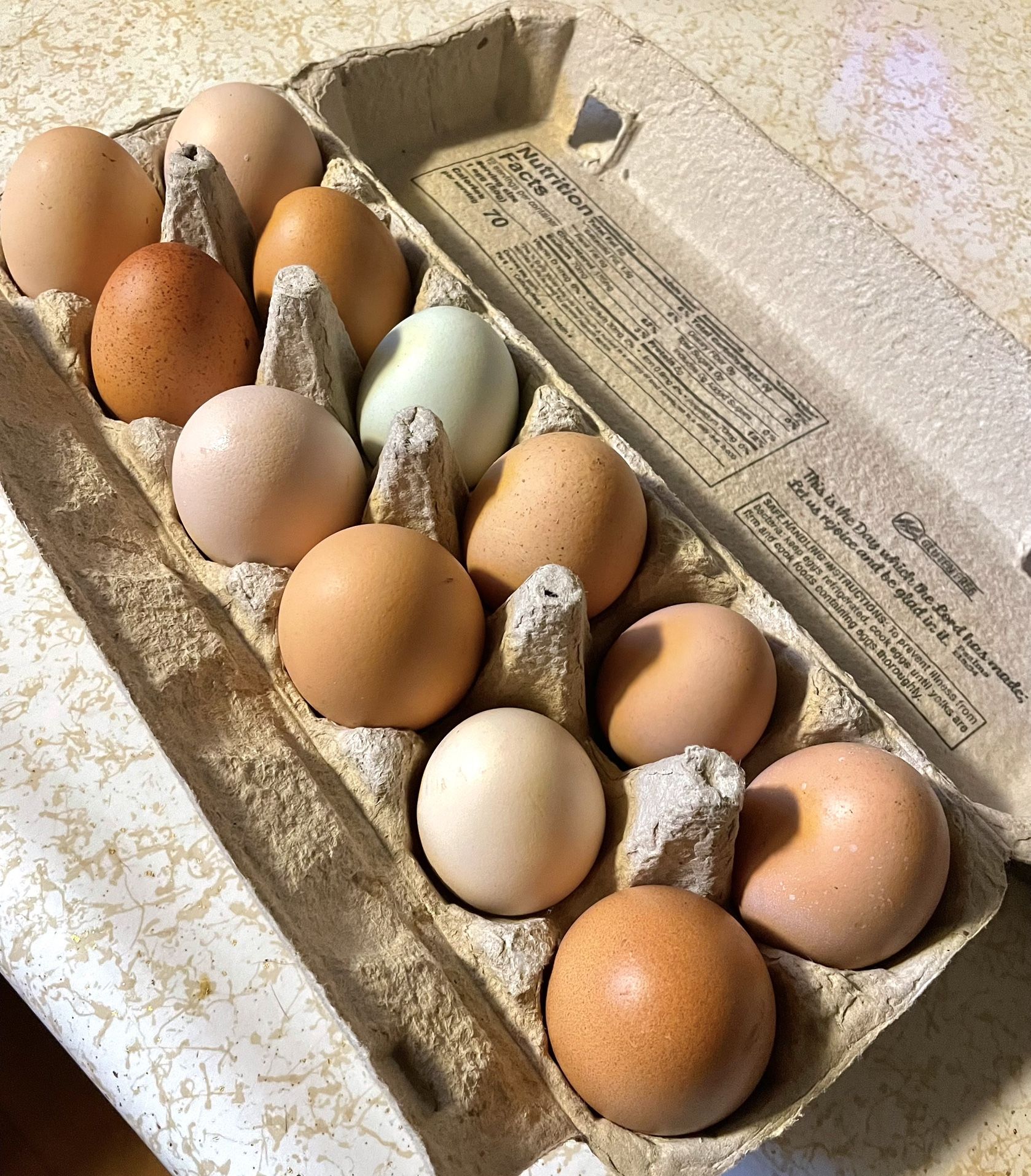 Farm Fresh Eggs