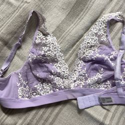 Wacoal Bra ( 38B) 