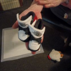Nike Air Jordan Sneakers 2c