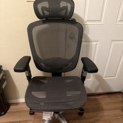 Desk Chair
