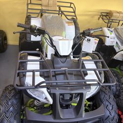 Tao Bull 200cc Automatic Adult ATV
