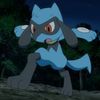 Pokemon & More!
