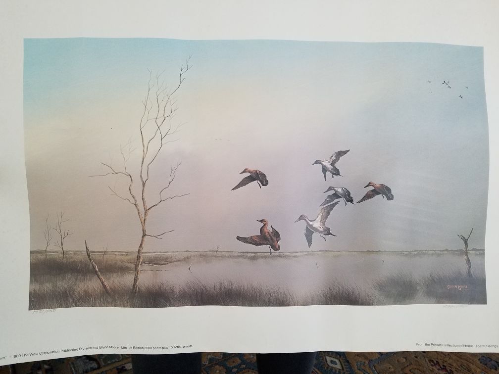 Glynn Moore Back Bay Morn Print
