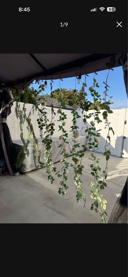 Artificial vines and roses