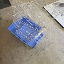 Bird Cage