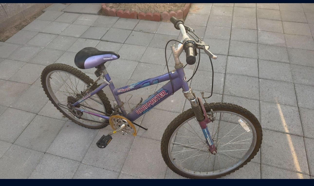 Roadmaster MT Sport SX 24” Girls 18‑Speed Mountain Bike – Purple