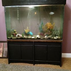 80 Gallon Aquarium 