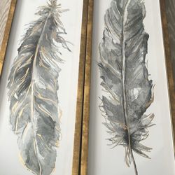 Feather Photos