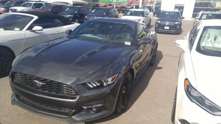 Camelback Ford Mustang