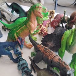 Dinosaurs 🦕 