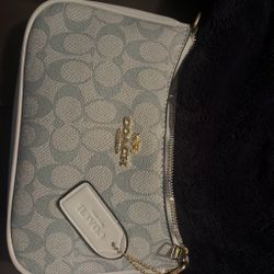 Blue Purse