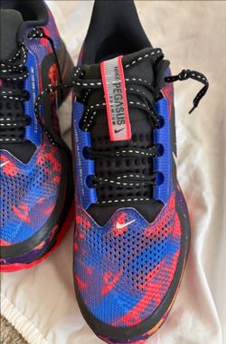 Nike Pegasus size 12
