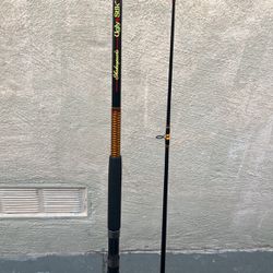 Shakespeare Ugly Stick 12’0”. Two Pieces 