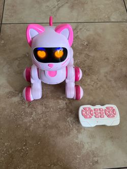 Robo Cat with remote control