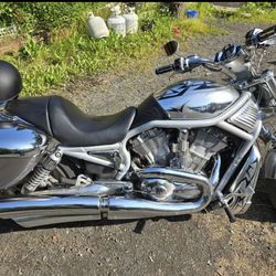 2002 Harley V-Rod