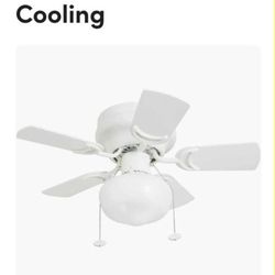 Ceiling Fan 