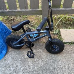 Brand nen 1 Month Old And Road 5 Times