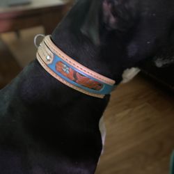 2 Inch Real Turquoise And Leather, Dog Collar