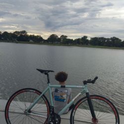 All City Thunderdome Fixie