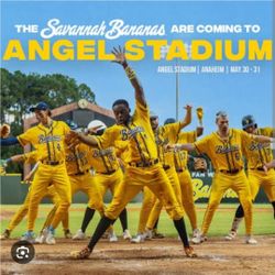 2 Tixs Section 330 Savannah Bananas Angel Stadium 