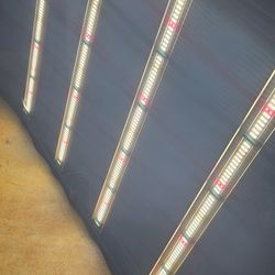 420 Growers Choice LED Light 