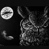 Owl Of The Night 