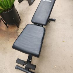 FLYBIRD Adjustable Workout Bench