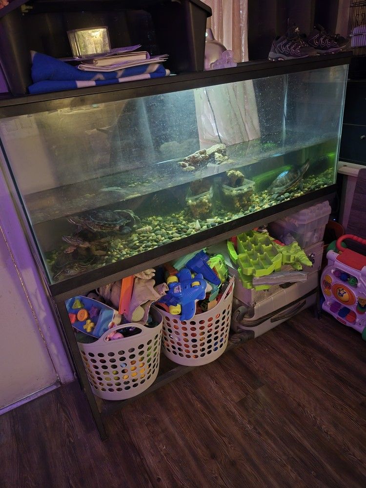 100 Gallon Fish Tank With Metal Stand