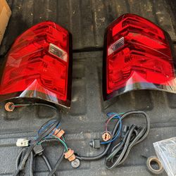 Tail Lights