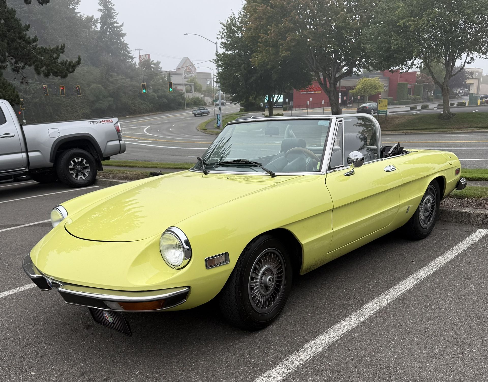 1973 Alfa-Romeo Spider