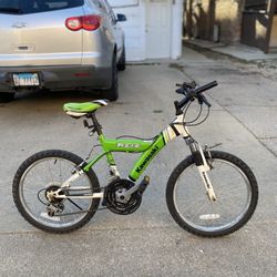 Kawasaki Prairie Bike
