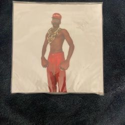 Don’t Tap The Glass Record Vinyl- Limited Pressing 